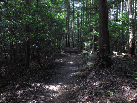 20161007hike (41)